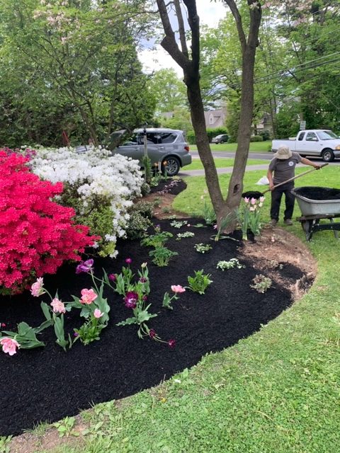 mulch bed with bushes and bright pink flowers