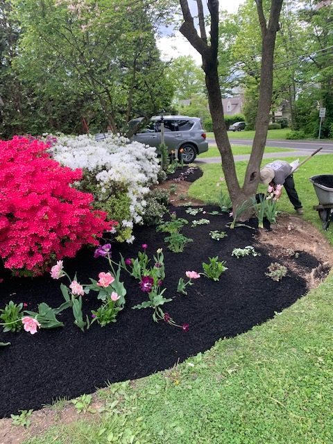 mulch with flowers at home