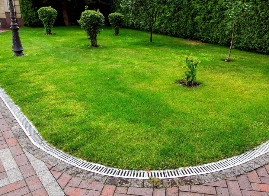 green lawn with french drain