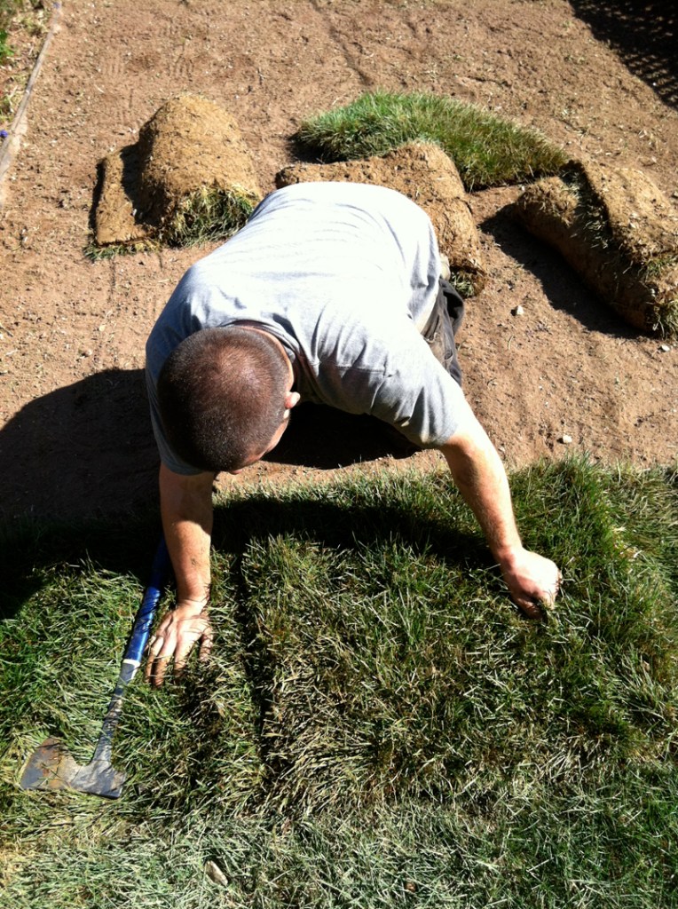 person laying sod