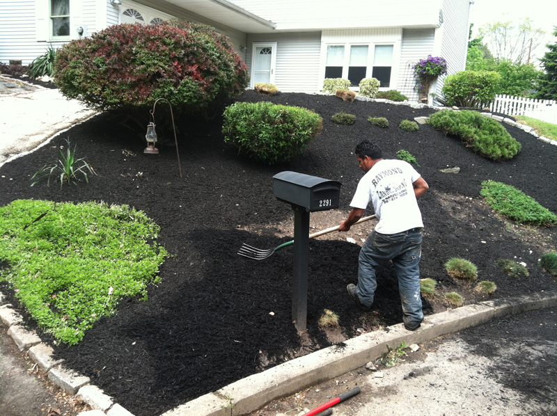 landscaped mulch bed with mailbox
