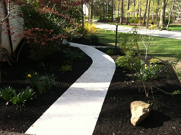 outdoor walkway with landscaping on both sides