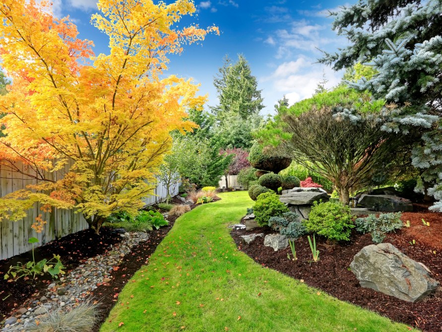 mulch and flowers with tree landscaping in backyard