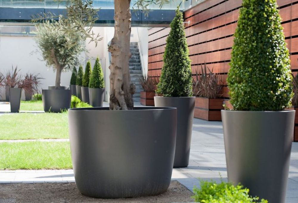 large pots surrounding trees