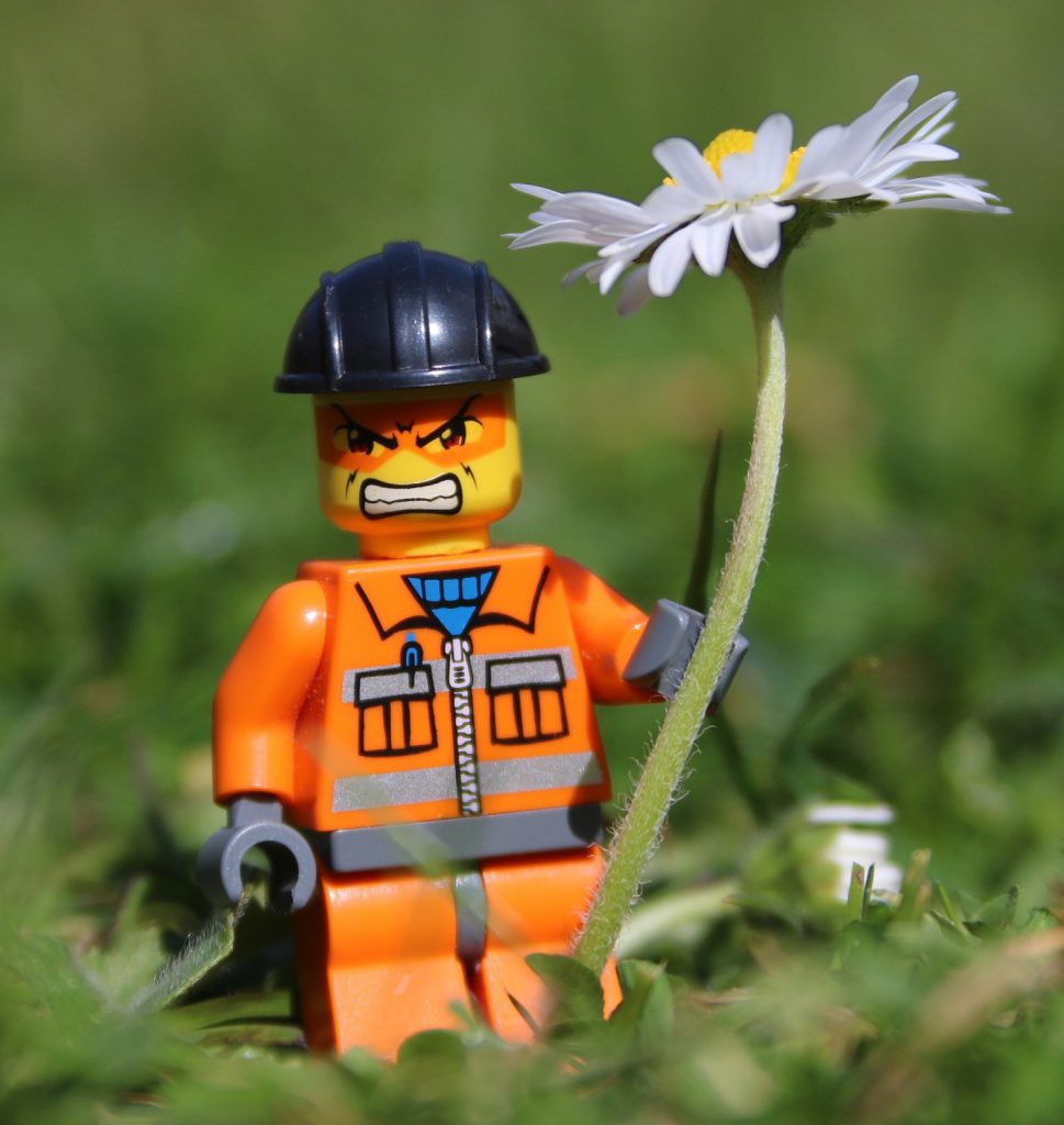 lego person with a flower