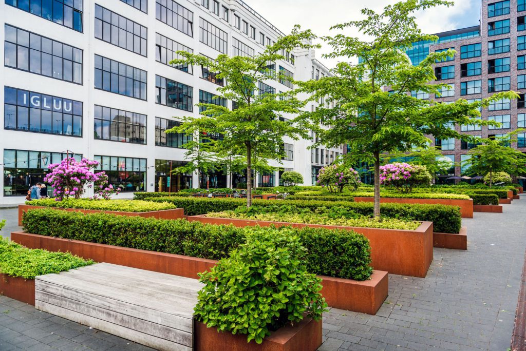 corporate courtyard with professional landscaping