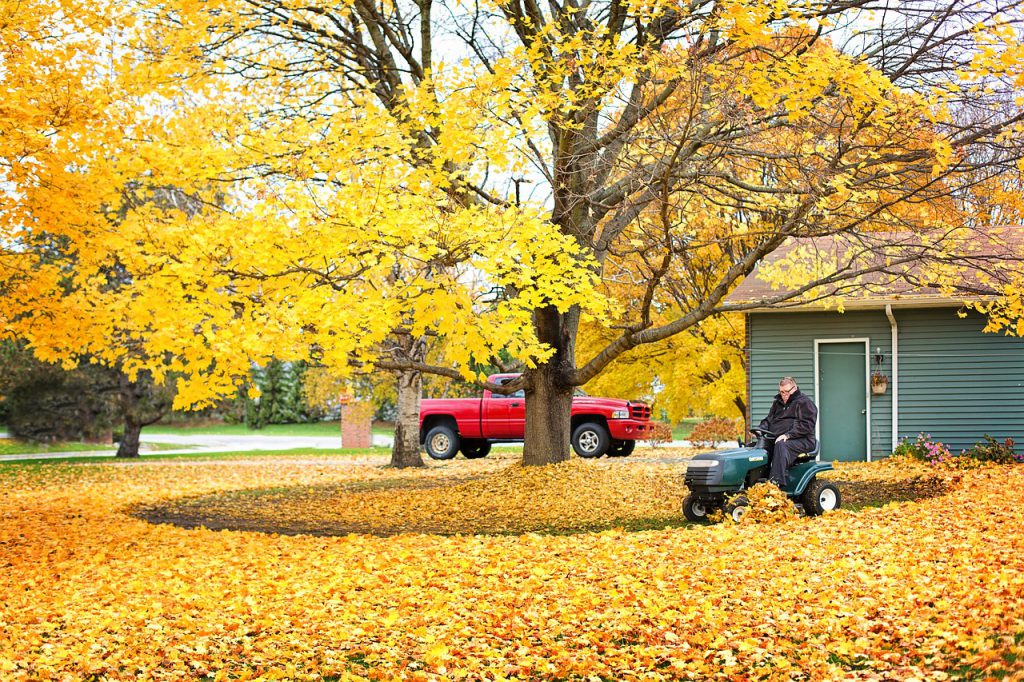 commercial leaf blower