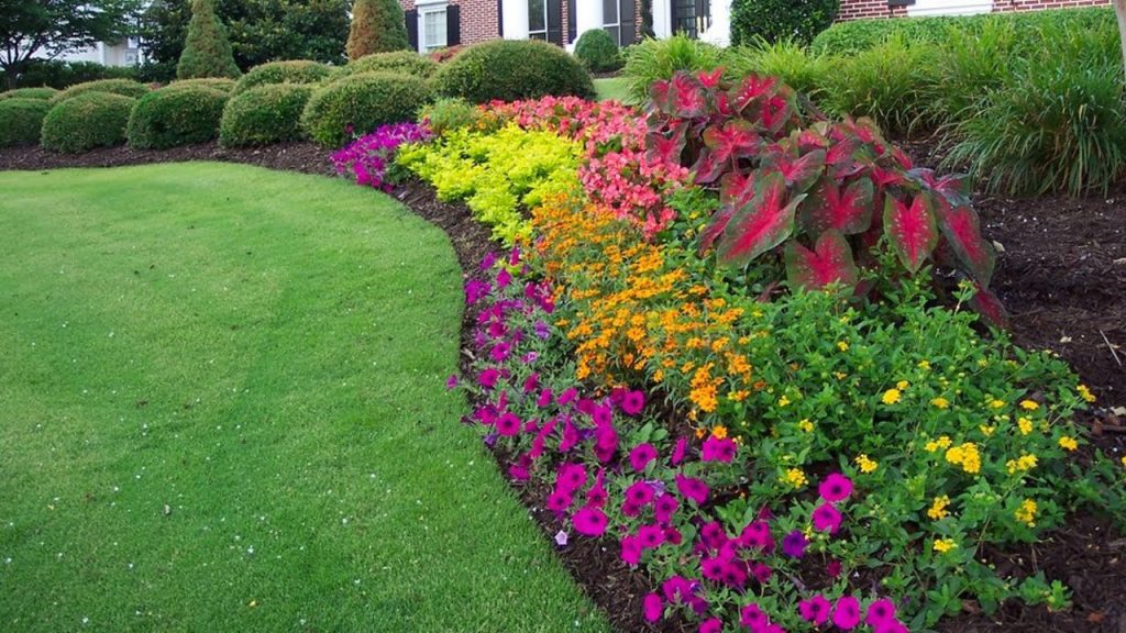 mulch bed with purple and yellow flowers