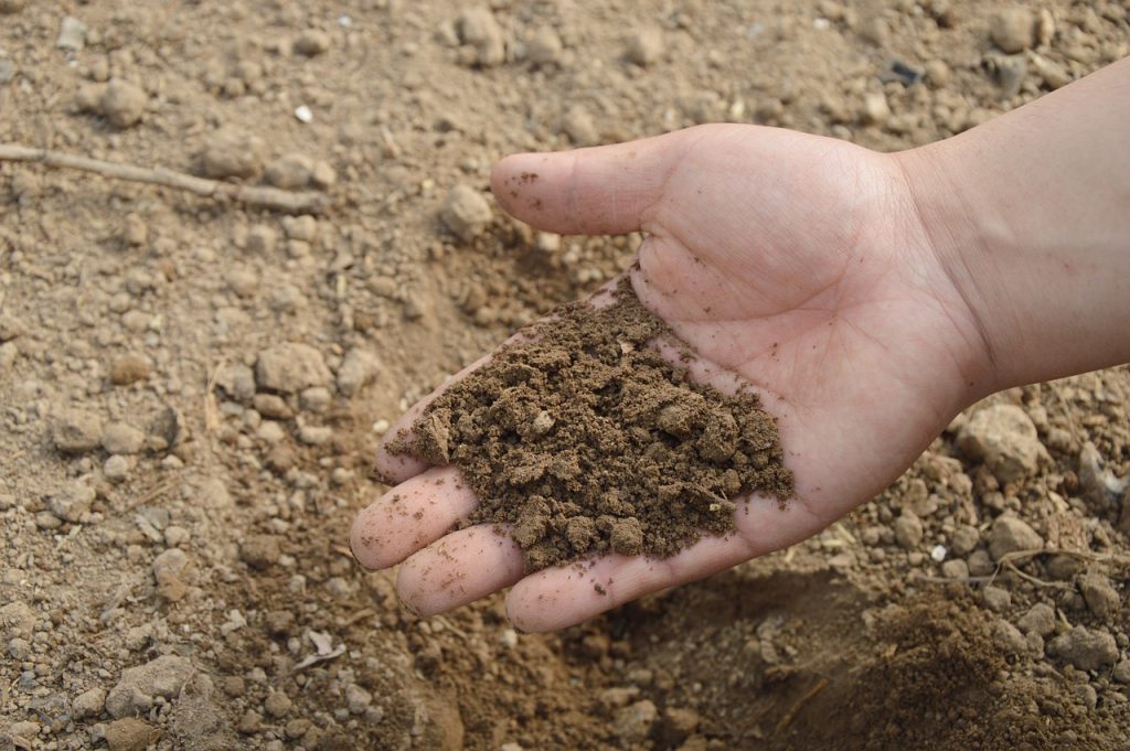 hand holding dirt